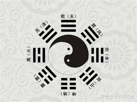 木卦|八卦中什么卦代表木